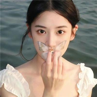 杜丝先生